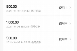 麟游融资清欠服务