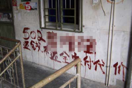 麟游债务清欠服务