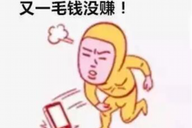 麟游工资清欠服务